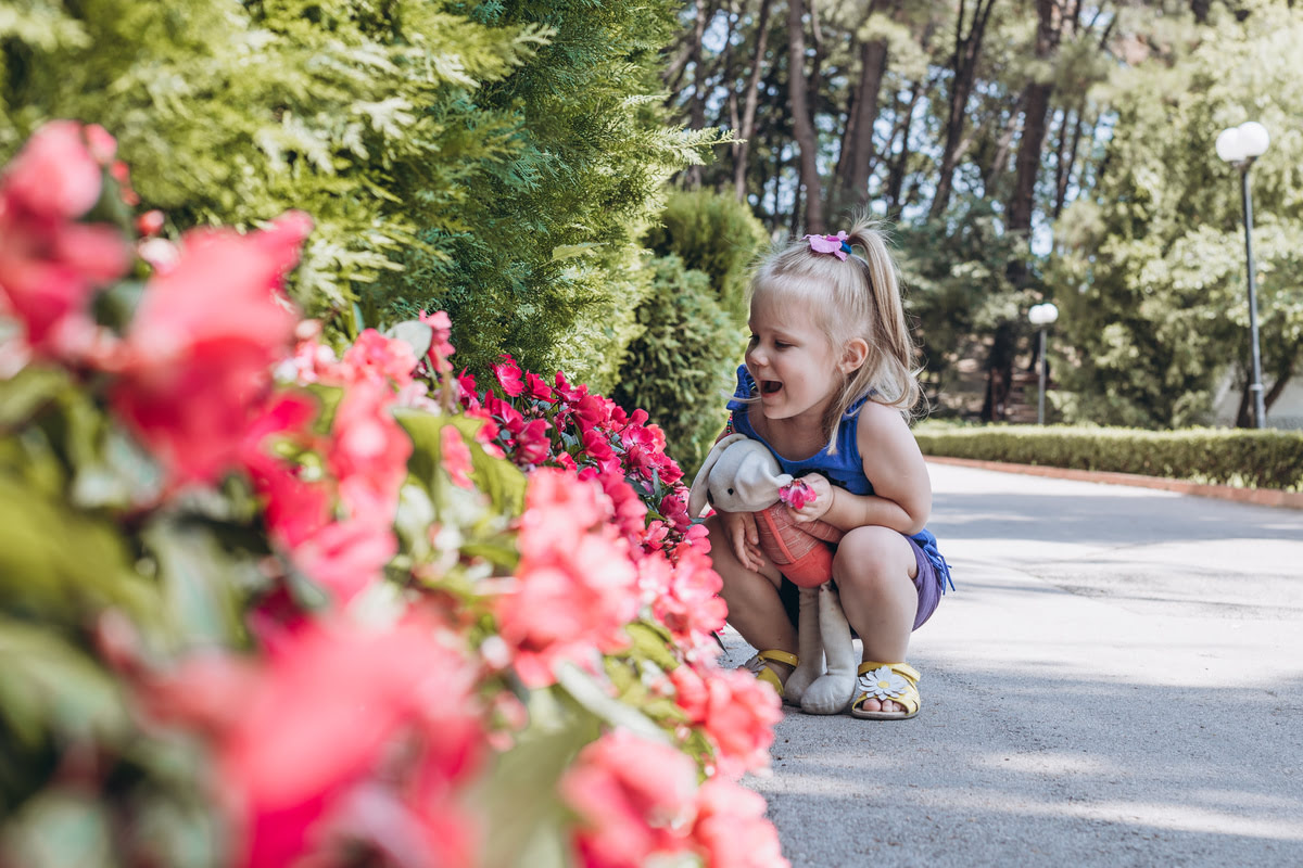 Cómo disfrutar de la temporada de flores Jardines y parques florales