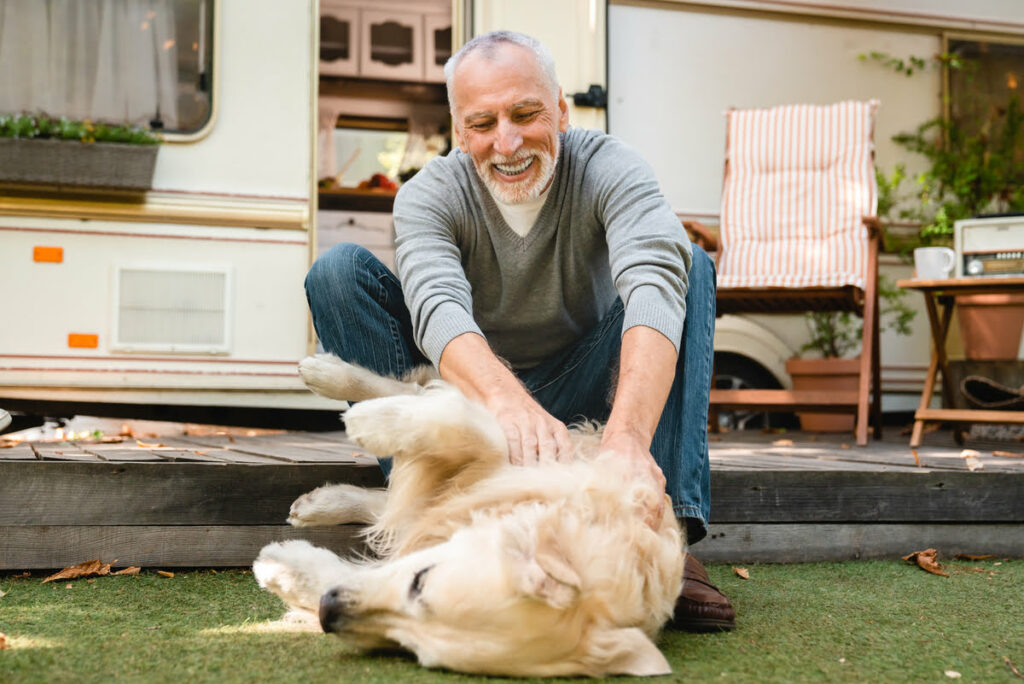 Vacaciones con tu mascota: Todo lo que tienes que saber