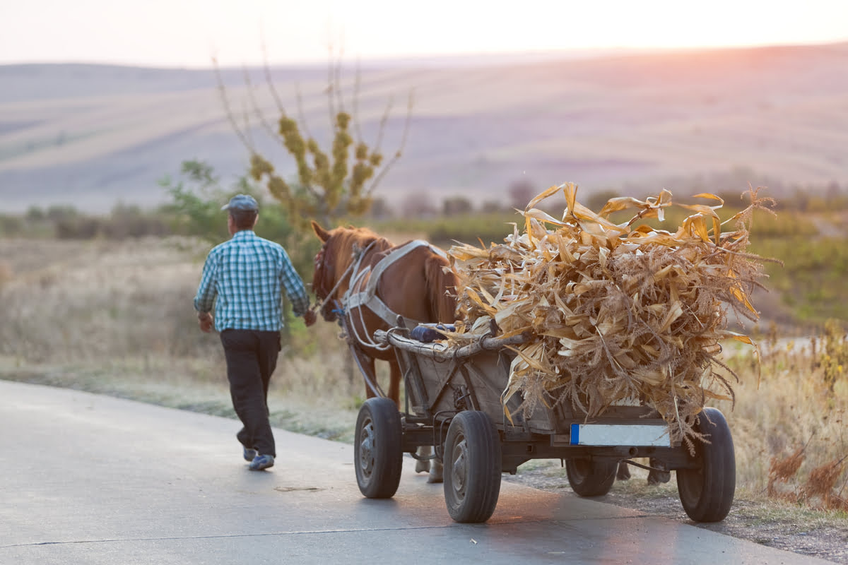 Actividades económicas que han marcado la historia rural