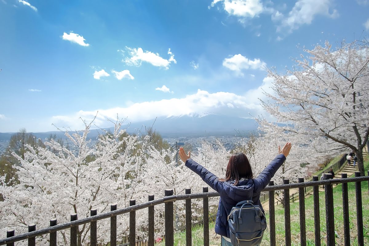 Cómo disfrutar de la primavera en el interior de España