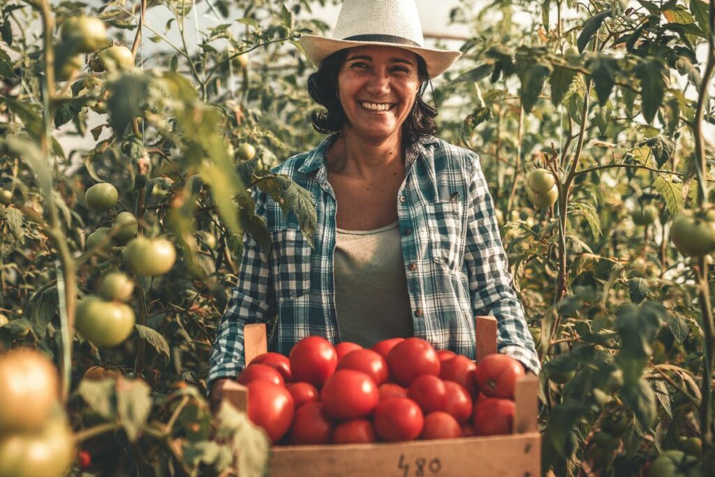 Agroturismo moderno en España: de Instagram a la granja