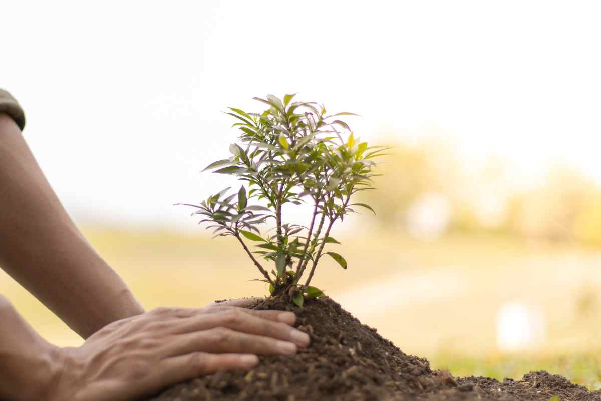 Qué es el turismo regenerativo y por qué es tendencia